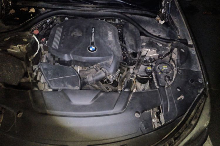 Used BMW 7 Series 2016 730Li Leading Model Engine Bay Left