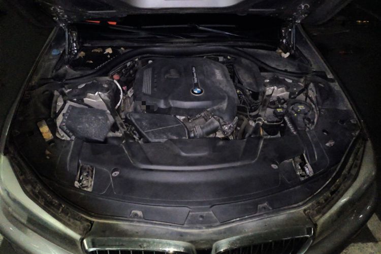 Used BMW 7 Series 2016 730Li Leading Model Engine Bay