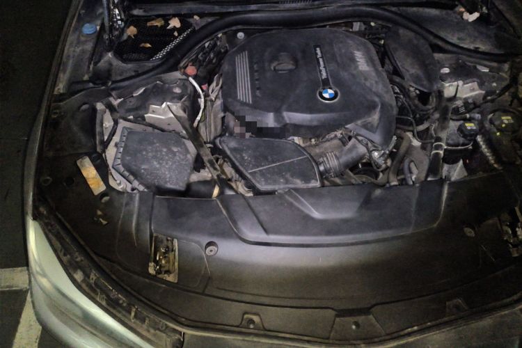 Used BMW 7 Series 2016 730Li Leading Model Engine Bay Right