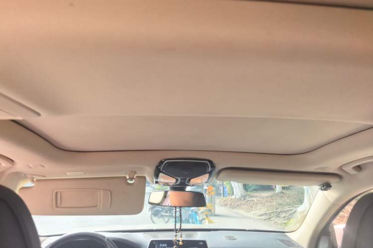 Used BMW 7 Series 2016 730Li Leading Model Headliner