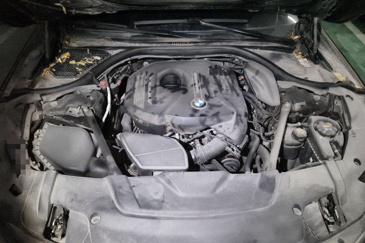 Used BMW 7 Series 2017 730Li Leading Model Engine Bay