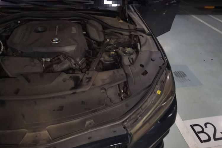 Used BMW 7 Series 2017 730Li Leading Model Engine Bay Left