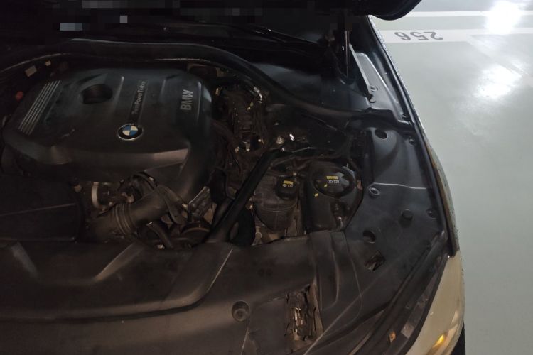 Used BMW 7 Series 2017 730Li Leading Model Engine Bay Left