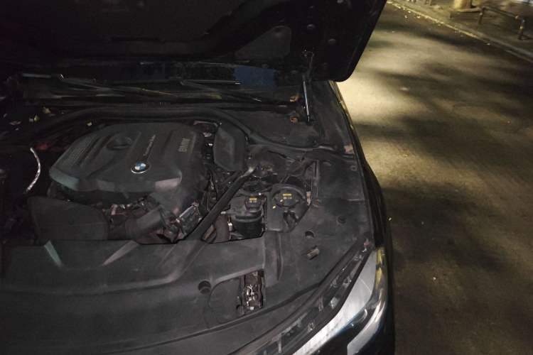 Used BMW 7 Series 2017 730Li Leading Model Engine Bay Left