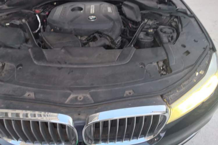 Used BMW 7 Series 2017 730Li Leading Model Engine Bay Left