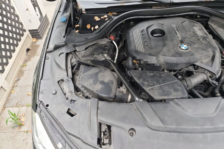 Used BMW 7 Series 2017 730Li Leading Model Engine Bay Right