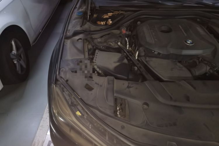 Used BMW 7 Series 2017 730Li Leading Model Engine Bay Right