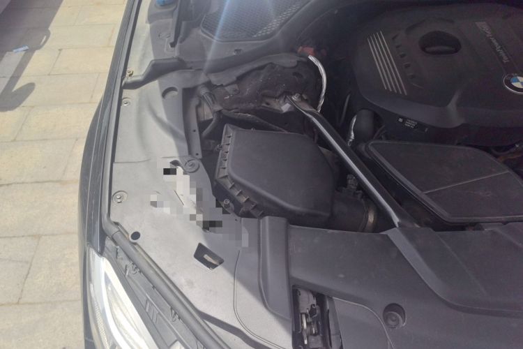Used BMW 7 Series 2017 730Li Luxury Model Engine Bay Right