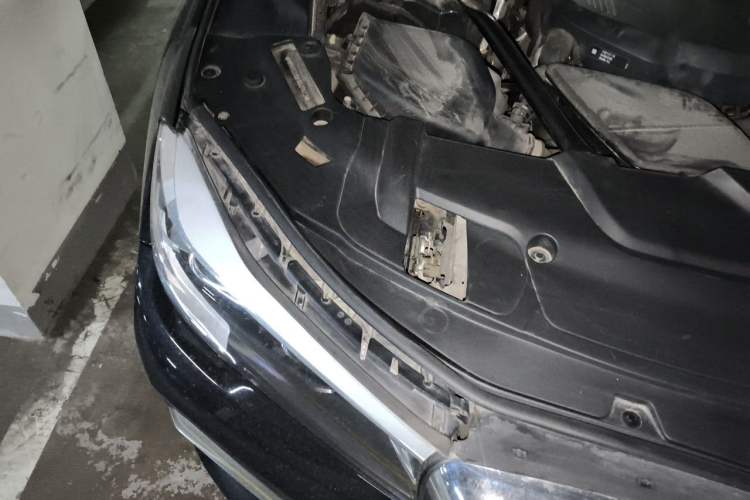Used BMW 7 Series 2017 730Li Leading Model Engine Bay Right