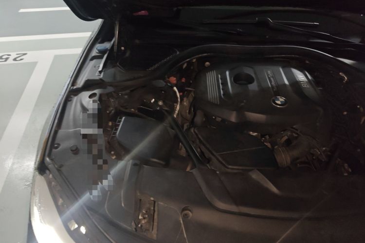Used BMW 7 Series 2017 730Li Leading Model Engine Bay Right