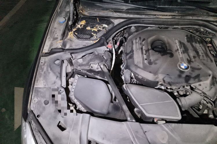 Used BMW 7 Series 2017 730Li Leading Model Engine Bay Right