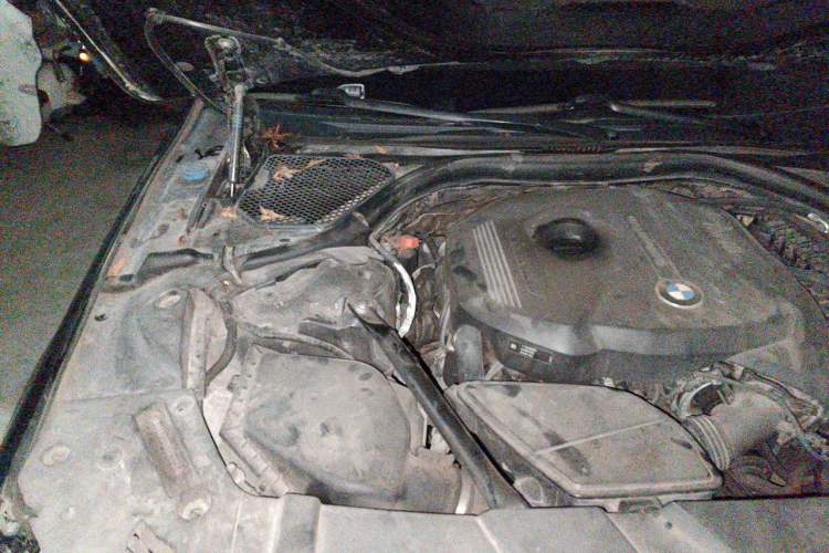 Used BMW 7 Series 2017 730Li Leading Model Engine Bay Right