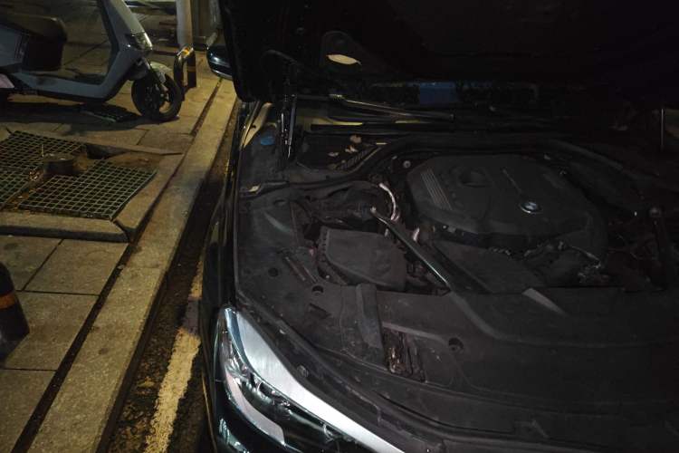 Used BMW 7 Series 2017 730Li Leading Model Engine Bay Right