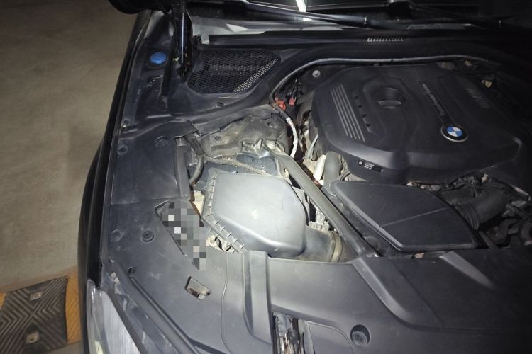 Used BMW 7 Series 2017 730Li Leading Model Engine Bay Right