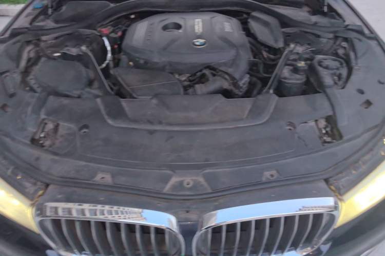 Used BMW 7 Series 2017 730Li Leading Model Engine Bay Right