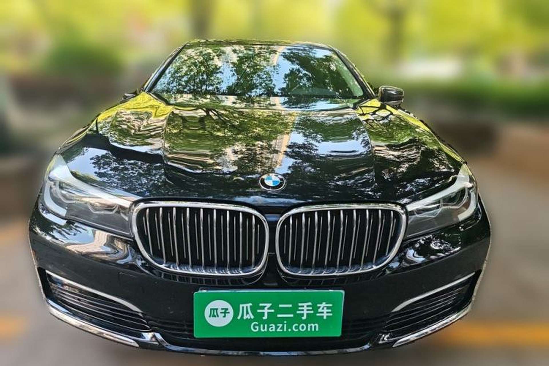 Used BMW 7 Series 2017 730Li Leading Model Front