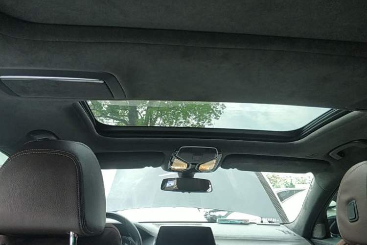 Used BMW 7 Series 2017 730Li Leading Model Headliner