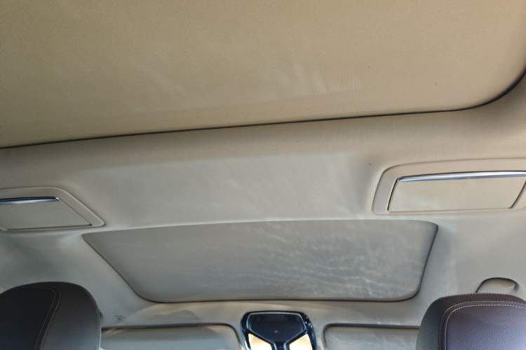 Used BMW 7 Series 2017 730Li Leading Model Headliner