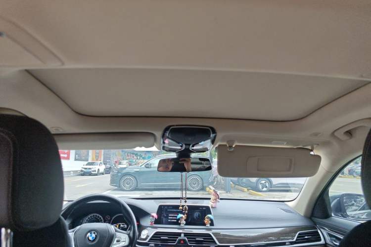 Used BMW 7 Series 2017 730Li Leading Model Headliner