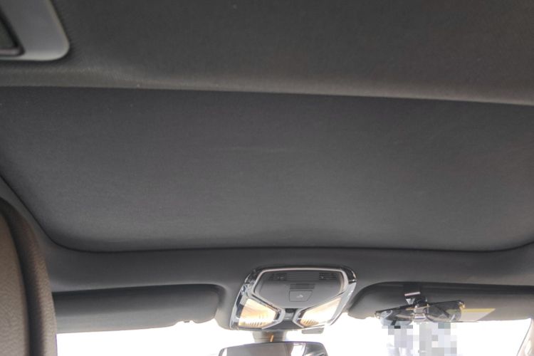 Used BMW 7 Series 2017 730Li Leading Model Headliner