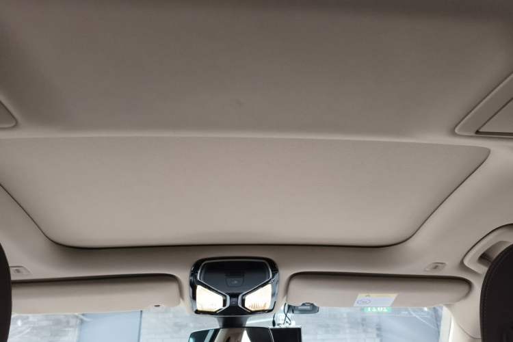 Used BMW 7 Series 2017 730Li Leading Model Headliner