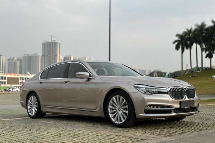 Used BMW 7 Series 2017 730Li Luxury Model Exterior 6