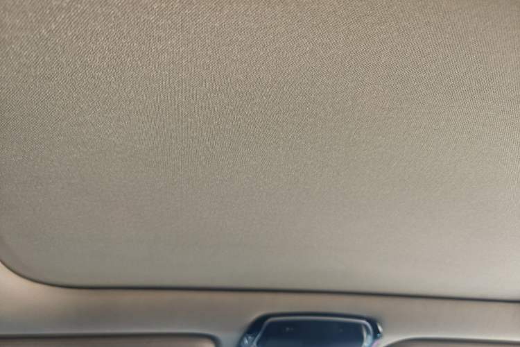 Used BMW 7 Series 2017 730Li Leading Model Headliner