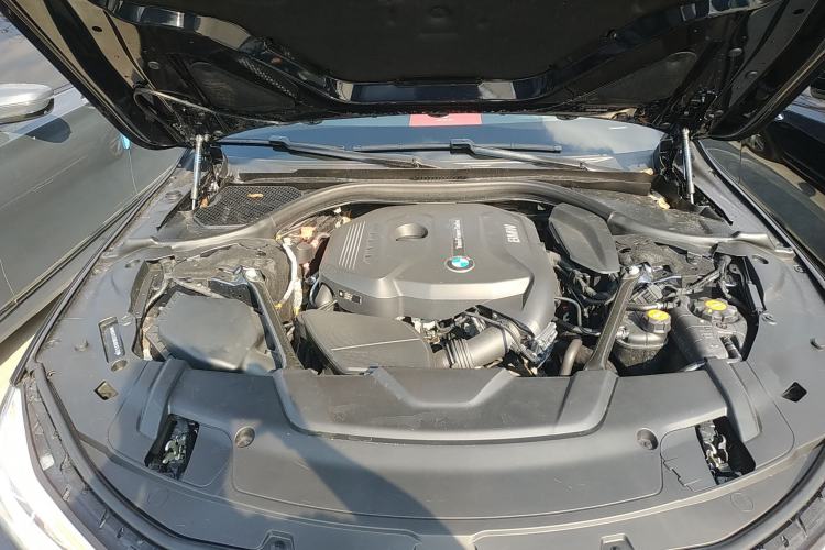 Used BMW 7 Series 2018 730Li Luxury Edition M Sport Package Engine Bay
