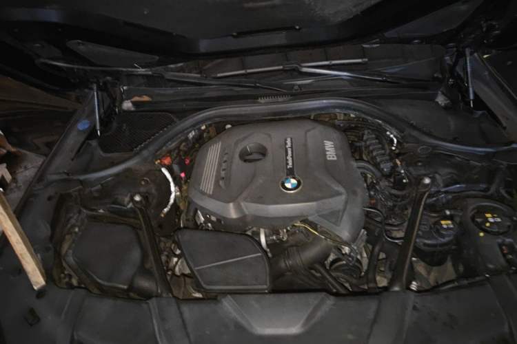 Used BMW 7 Series 2018 730Li Leading Model M Sport Package Engine Bay