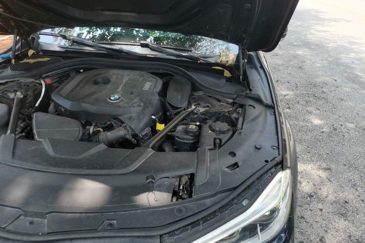 Used BMW 7 Series 2018 730Li Luxury Edition M Sport Package Engine Bay Left