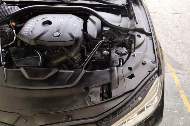 Used BMW 7 Series 2018 730Li Luxury Model Excellence Package Engine Bay Left