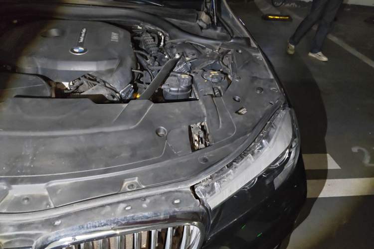 Used BMW 7 Series 2018 730Li Leading Model Excellence Package Engine Bay Left