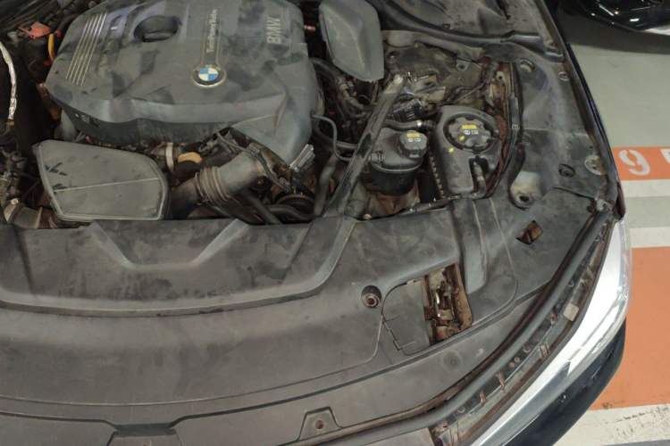 Used BMW 7 Series 2018 730Li Leading Model Excellence Package Engine Bay Left