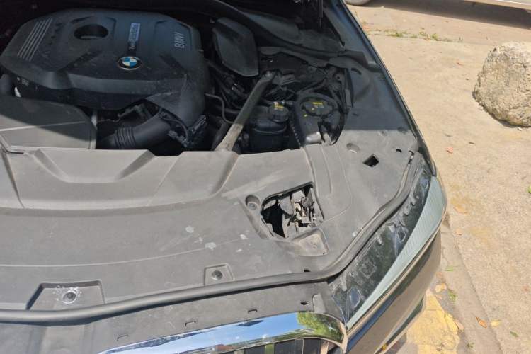 Used BMW 7 Series 2018 730Li Luxury Edition M Sport Package Engine Bay Left