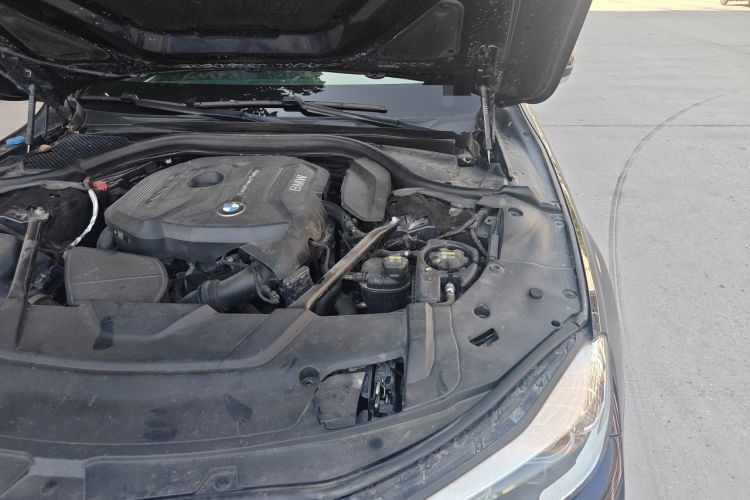 Used BMW 7 Series 2018 730Li Leading Model Excellence Package Engine Bay Left