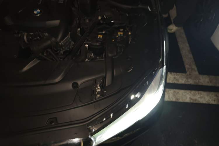 Used BMW 7 Series 2018 730Li Leading Model M Sport Package Engine Bay Left