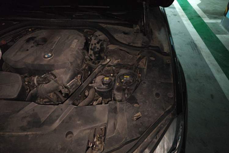 Used BMW 7 Series 2018 730Li Leading Model Excellence Package Engine Bay Left