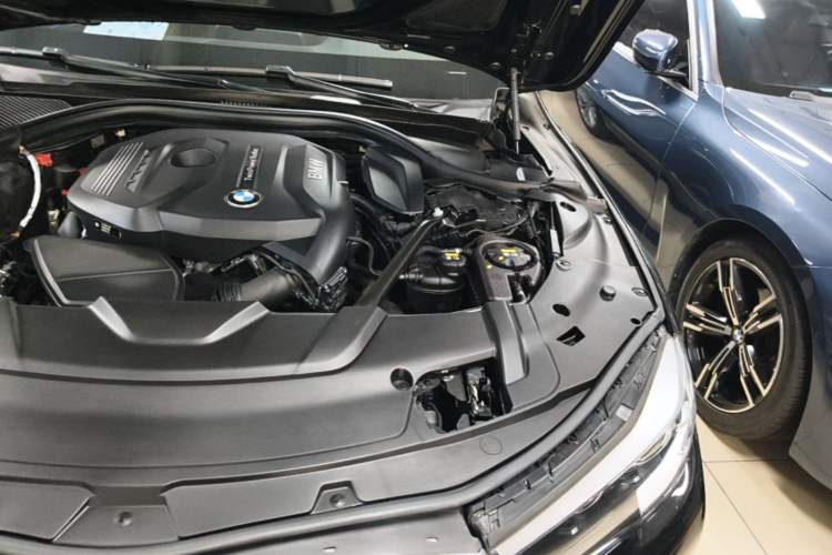Used BMW 7 Series 2018 730Li Leading Model Excellence Package Engine Bay Left