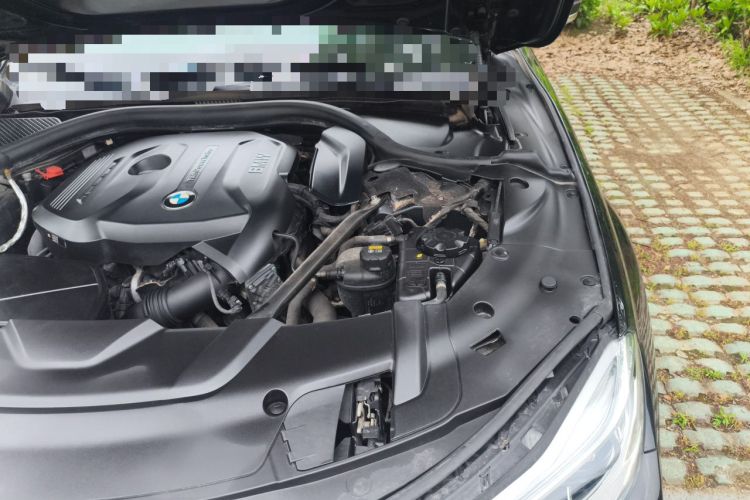 Used BMW 7 Series 2018 730Li Luxury Edition M Sport Package Engine Bay Left