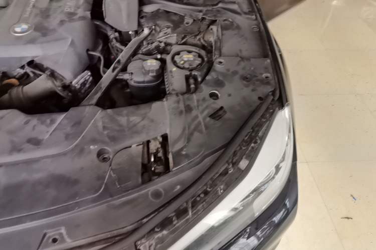 Used BMW 7 Series 2018 730Li Leading Model Excellence Package Engine Bay Left