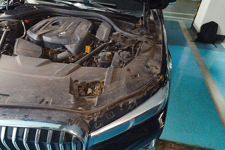 Used BMW 7 Series 2018 730Li Leading Model M Sport Package Engine Bay Left