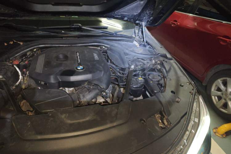 Used BMW 7 Series 2018 730Li Luxury Edition M Sport Package Engine Bay Left