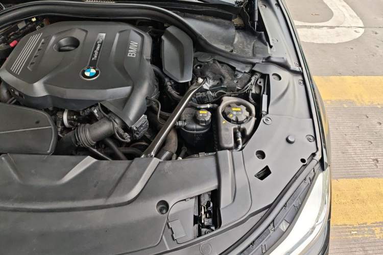 Used BMW 7 Series 2018 730Li Leading Model Excellence Package Engine Bay Left