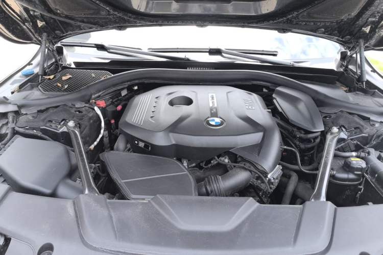Used BMW 7 Series 2018 730Li Luxury Edition M Sport Package Engine Bay