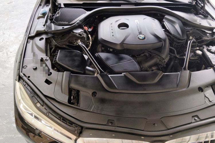Used BMW 7 Series 2018 730Li Luxury Model Excellence Package Engine Bay Right