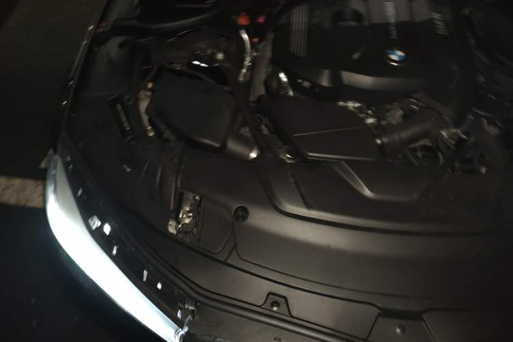 Used BMW 7 Series 2018 730Li Leading Model M Sport Package Engine Bay Right