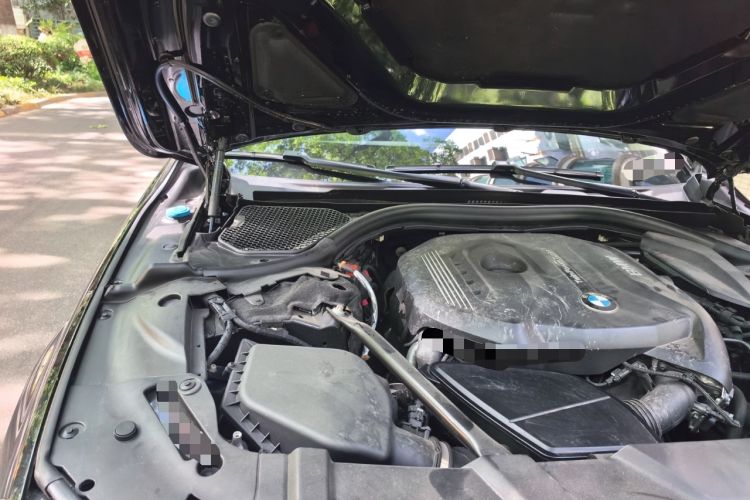 Used BMW 7 Series 2018 730Li Leading Model Excellence Package Engine Bay Right