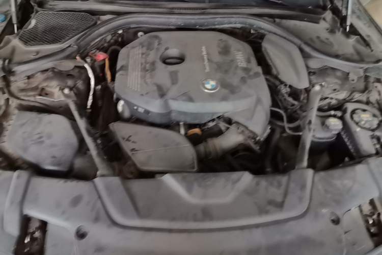 Used BMW 7 Series 2018 730Li Leading Model Excellence Package Engine Bay