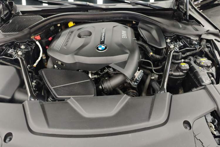 Used BMW 7 Series 2018 730Li Luxury Edition M Sport Package Engine Bay