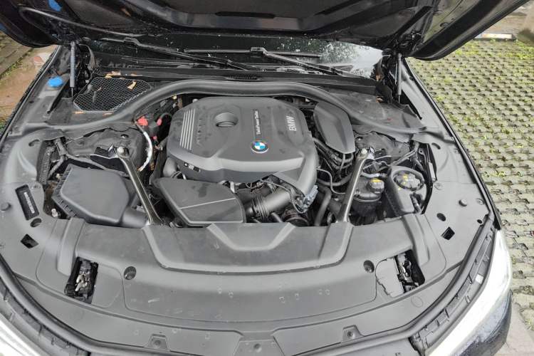 Used BMW 7 Series 2018 730Li Luxury Edition M Sport Package Engine Bay